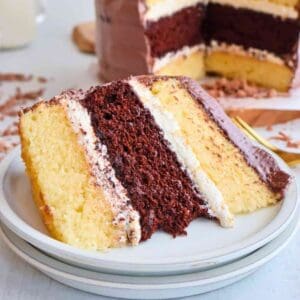 A slice of Gluten Free Dairy Free Chocolate and Vanilla cake.
