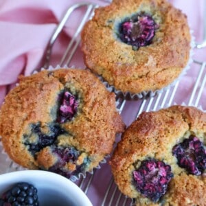 blackberry muffins