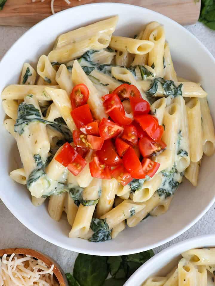 Overhead shot of bowlful of alfredo pasta.