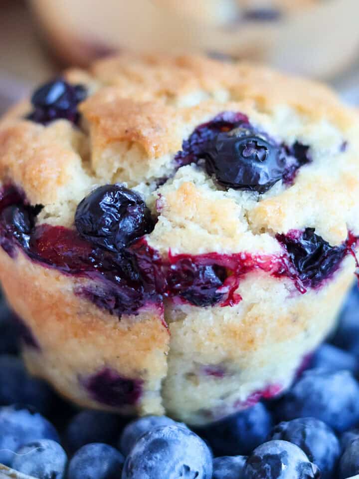 Blueberry muffin on plate wiht more blueberries.