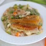A white plate with turkey pot pie.