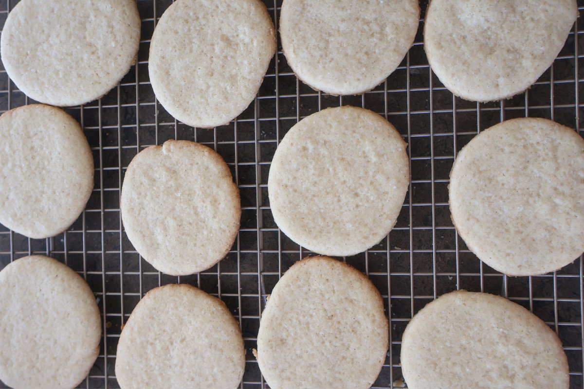 Sugar cookies cooling on a rack.