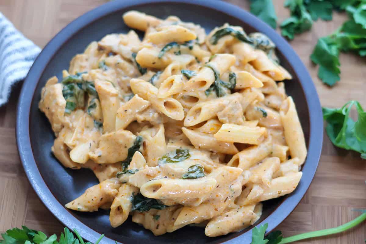 A black bowl filled with sour cream chicken pasta.